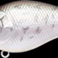 Black Crappie