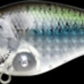 CF Lens Threadfin