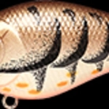Cameleon Brown Craw