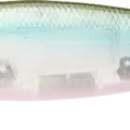 Ghost Minnow Sakura
