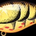 Phantom Chart Black Craw