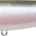 Pearl Ghost Minnow