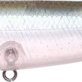 Ghost Minnow