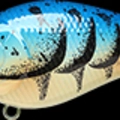 Magic Blue Craw