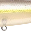 Chartreuse Shad