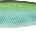NC Clear Lake Hitch