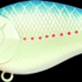 Blue Bream