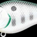 Pearl Green Shad