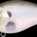MJ Ghost Minnow