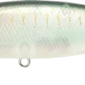 Live Pearl Shad