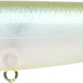 Golden Ghost Minnow