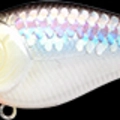 MS Impulse Shad