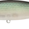 NC Bora