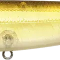Aurora Ghost Golden Shiner