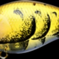 Ghost Green Purple Craw