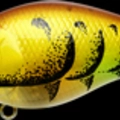 Table Rock Craw
