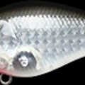 CF Lens Anchovy