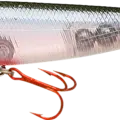 Bloody Ghost Minnow
