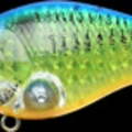 CF Lens Ghost Chart Blue Shad