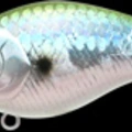 MS Green Herring