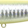 Bone Shad