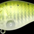 CF Zebra Ghost Green Sea Trout