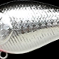 Lens Flash Anchovy