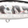 Bait Fish Silver