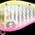 CF Zebra Chartreuse Pink Sea Trout