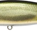 Aurora Dace Shad - Aurora Ugui