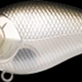 Pearl Shad