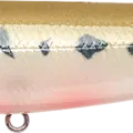 Pearl Vairon - French Bait Fish