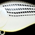 TX White Bass