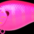 Pink Dragon Gill