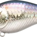 MS American Shad