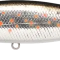 May Salmon ~Up Stream~ - Satsuki Masu