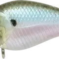 Pearl Ghost Minnow