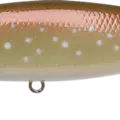 Rainy Salmon ~Up Stream~ - Ame Masu