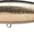 Lake Trout (Splake) ~Up Stream~ - American AME Masu