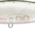 Coho Salmon (Silver Salmon) - Gin Sake