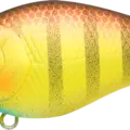 Mazume Bream