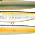 MS Aurora Shad