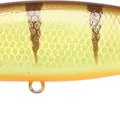 Northern Walleye