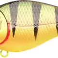 Northern Yellow Perch
