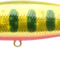 YPRR ~Yellow Pink Red Rainbow