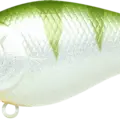 Green Perch