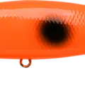 Spotted Orange