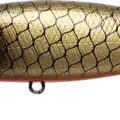 Golden Sucker