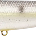 Sexy Chartreuse Shad