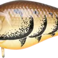 All Brown Craw